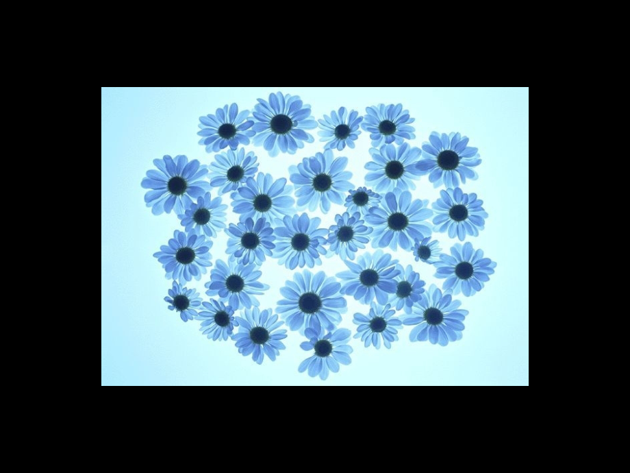 苏教版数学六年级上册市公开课一等奖百校联赛特等奖课件.pptx_第2页