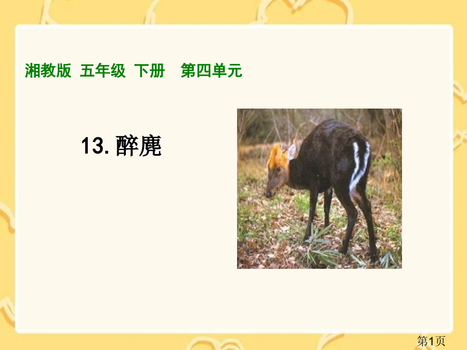 湘教版五年级上册醉麂1省名师优质课赛课获奖课件市赛课一等奖课件.ppt_第1页