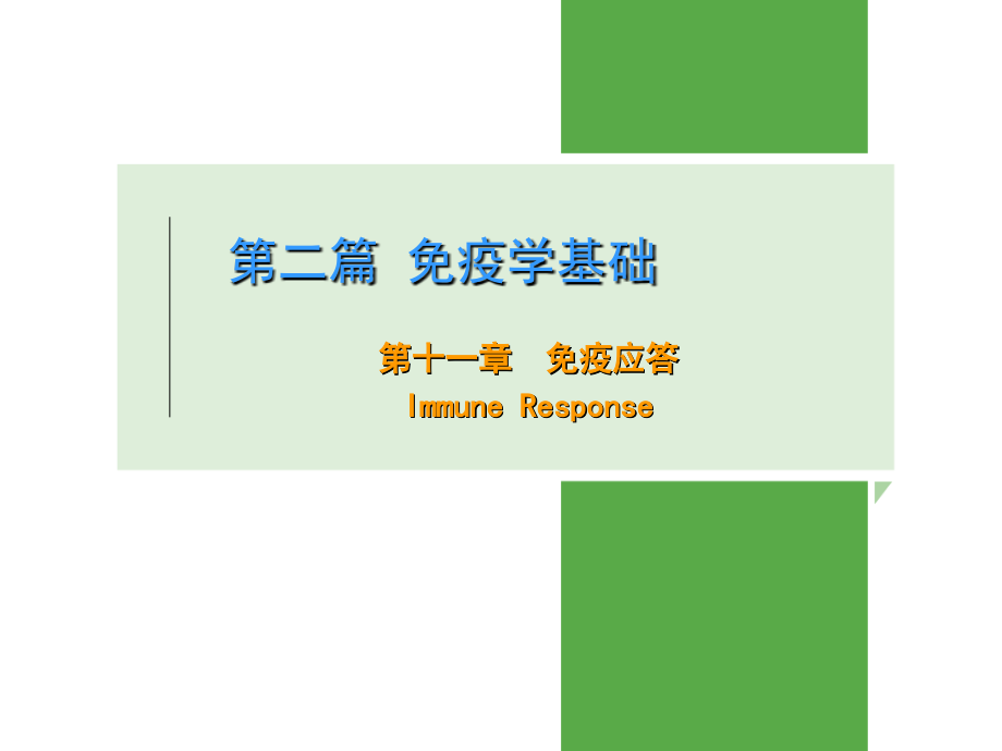 11.第十一章免疫应答(修).ppt_第1页