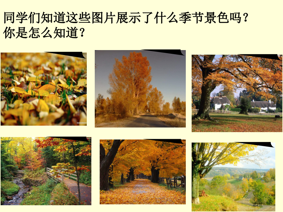 四年级上册语文4秋天市公开课一等奖省优质课赛课一等奖课件.pptx_第2页