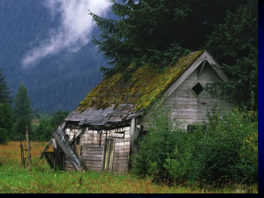 数学万北师大版七年级上市名师优质课比赛一等奖市公开课获奖课件.pptx_第1页