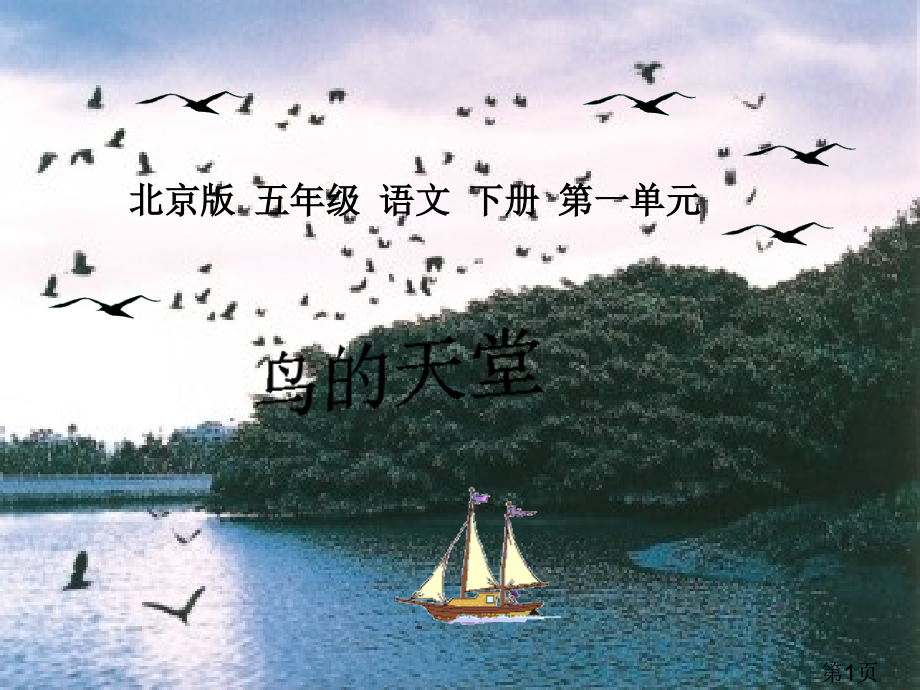 五年级语文下册-鸟的天堂-4-北京版省名师优质课赛课获奖课件市赛课一等奖课件.ppt_第1页