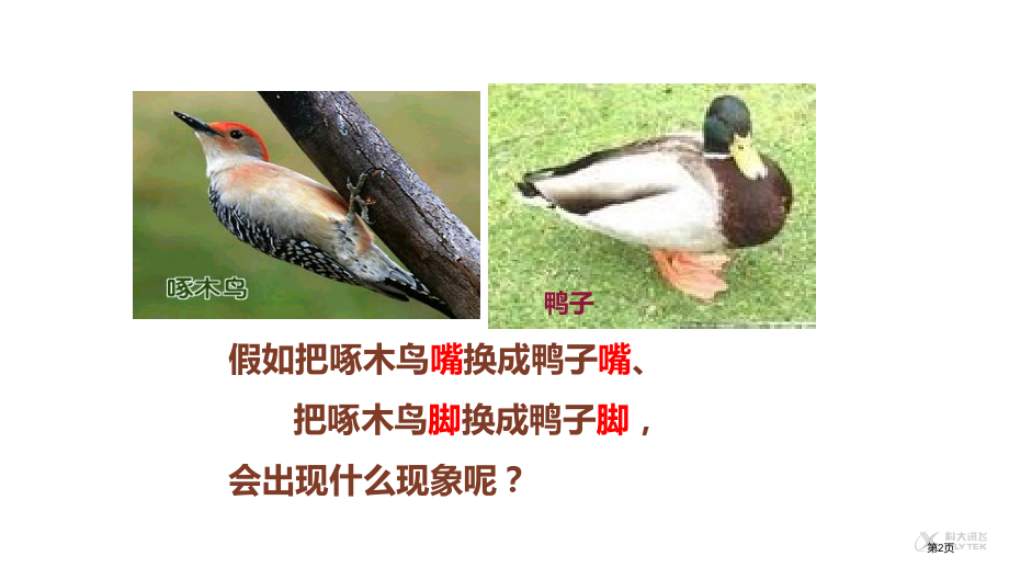 八年级下册物理9.1压强市公开课一等奖省优质课赛课一等奖课件.pptx_第2页