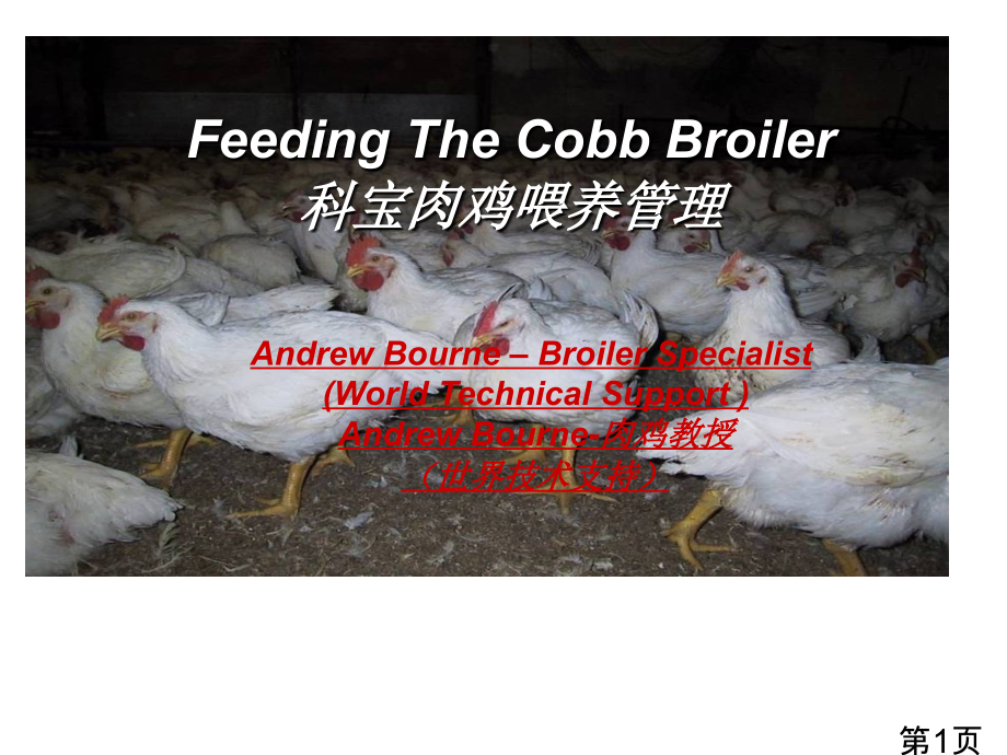 科宝肉鸡饲养管理省名师优质课获奖课件市赛课一等奖课件.ppt_第1页