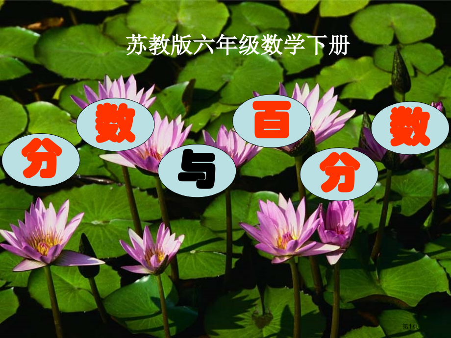 分数和百分数的复习苏教版六年级数学下册第十二册数学市名师优质课比赛一等奖市公开课获奖课件.pptx_第1页