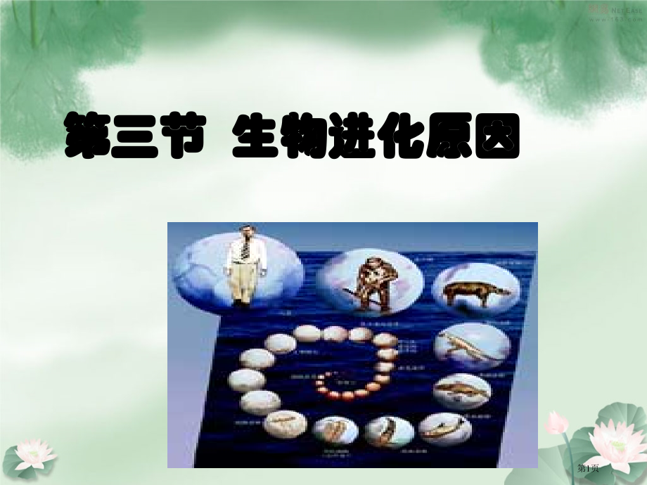 八年级生物下册第三章第三节生物进化的原因市公开课一等奖省优质课赛课一等奖课件.pptx_第1页