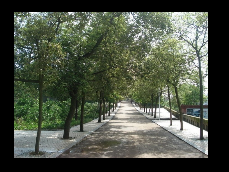 五年级下美术重复与渐变市公开课一等奖省优质课赛课一等奖课件.pptx_第2页
