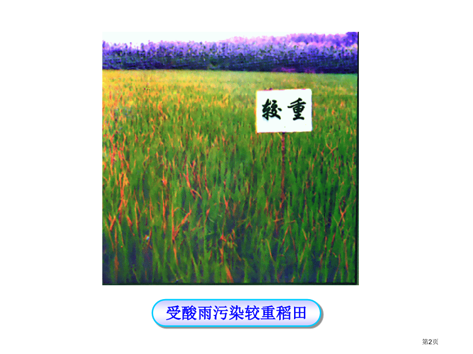 七年级生物下册第七章第二节探究环境污染对生物的影响市公开课一等奖省优质课赛课一等奖课件.pptx_第2页