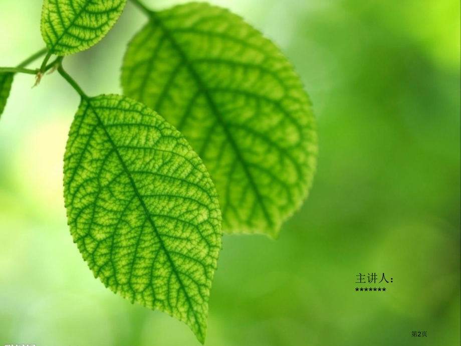 二年级上册美术美丽的叶子市公开课一等奖省优质课赛课一等奖课件.pptx_第2页