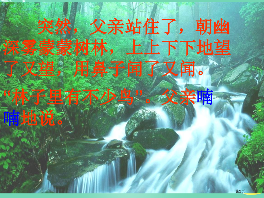 语文s版三上父亲、树林和鸟市名师优质课比赛一等奖市公开课获奖课件.pptx_第2页