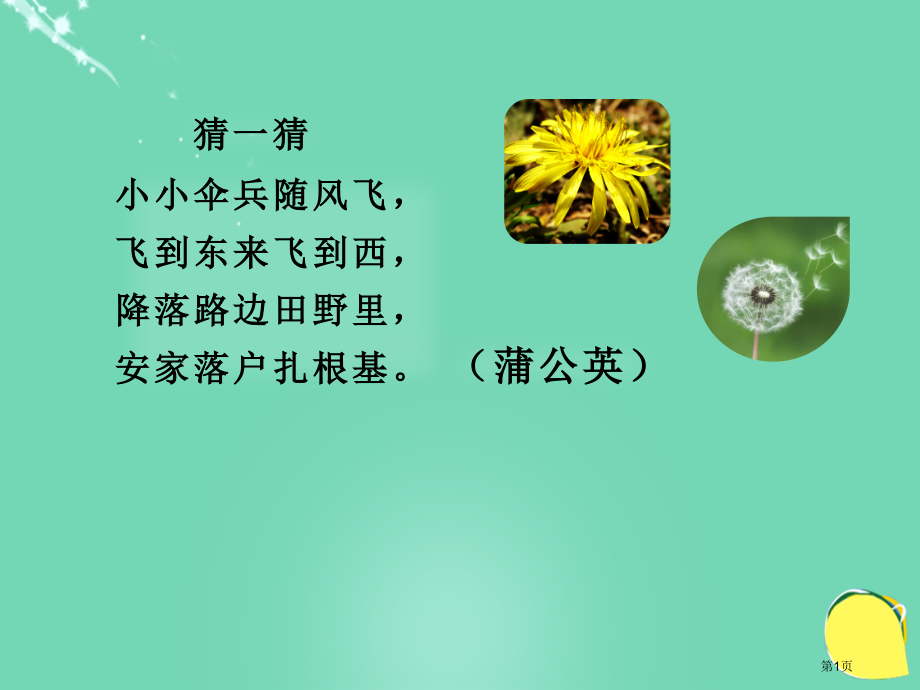 金色的草地课件市名师优质课比赛一等奖市公开课获奖课件.pptx_第1页