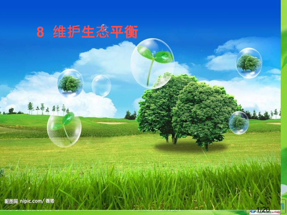 科学五上《维护生态平衡》ppt课件省名师优质课赛课获奖课件市赛课百校联赛优质课一等奖课件.ppt_第1页