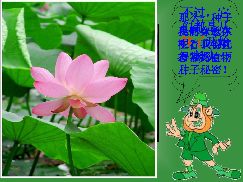 播种发芽2鄂教版三年级科学下册市名师优质课比赛一等奖市公开课获奖课件.pptx_第2页