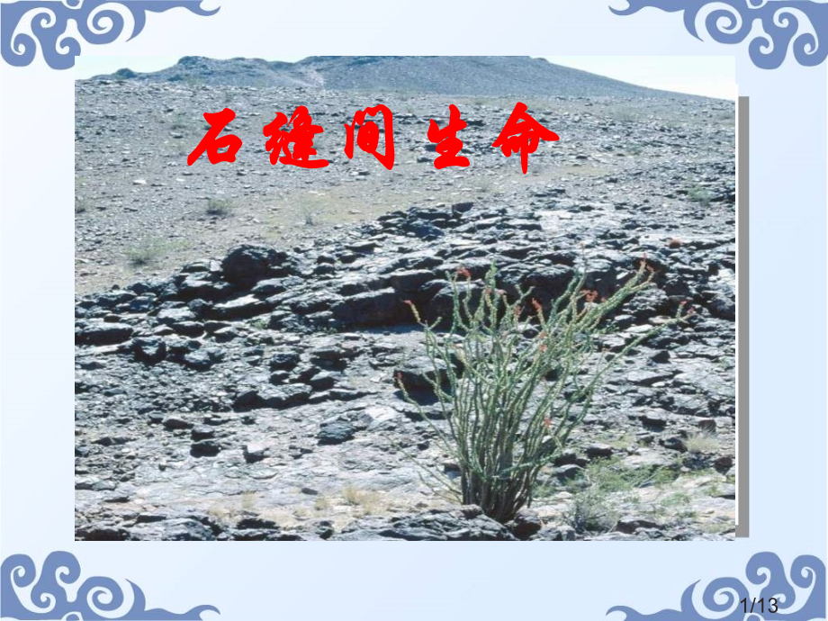 鲁教版六年级上石缝间的生命3省名师优质课赛课获奖课件市赛课一等奖课件.ppt_第1页