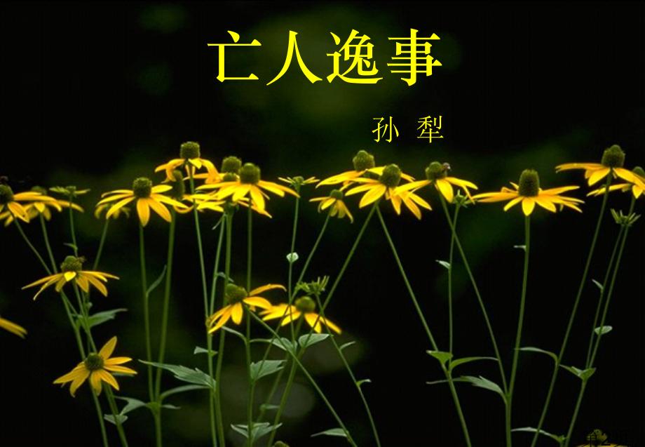 苏教必修二语文《亡人逸事》省名师优质课赛课获奖课件市赛课一等奖课件.ppt_第2页
