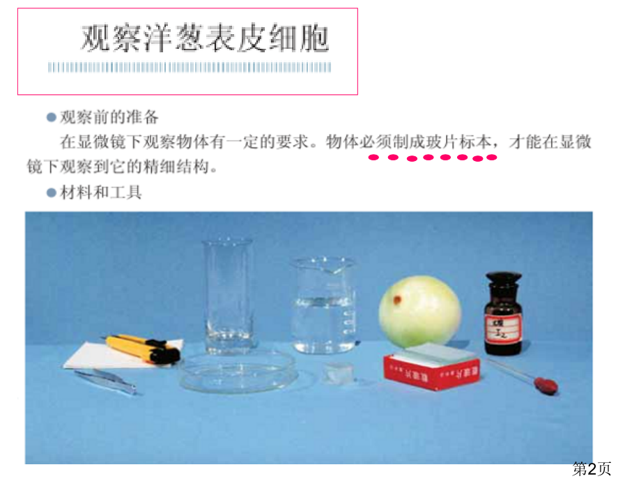 教科版科学六年级下册《用显微镜观察身边的生命世界》省名师优质课赛课获奖课件市赛课一等奖课件.ppt_第2页