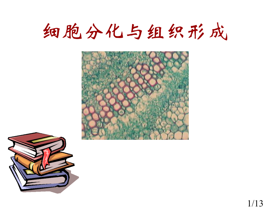 科学：5.3《组织、器官和系统》1(华师大版七年级下)省名师优质课赛课获奖课件市赛课一等奖课件.ppt_第1页