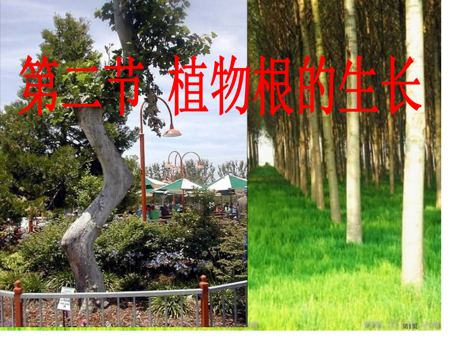 初中生物七上第3单元第五章第二节植物根的生长市公开课一等奖省优质课赛课一等奖课件.pptx_第1页