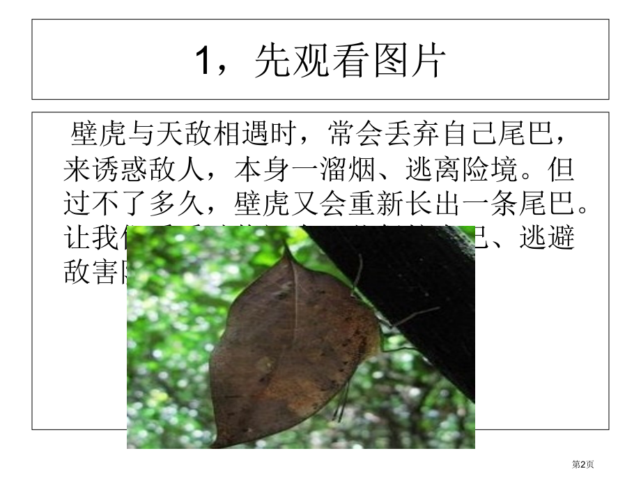 五年级上册科学第9课奇妙的护身术示范课市公开课一等奖省优质课赛课一等奖课件.pptx_第2页