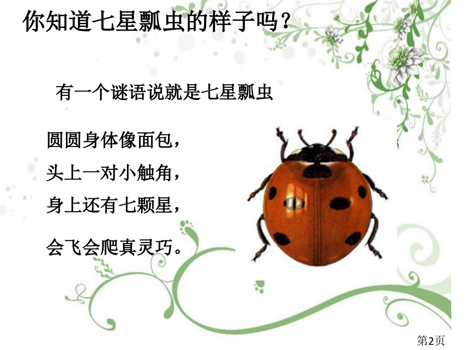 漂亮的七星瓢虫省名师优质课赛课获奖课件市赛课一等奖课件.ppt_第2页