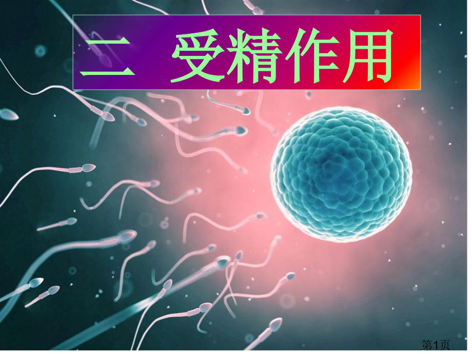 受精作用-省名师优质课赛课获奖课件市赛课一等奖课件.ppt_第1页