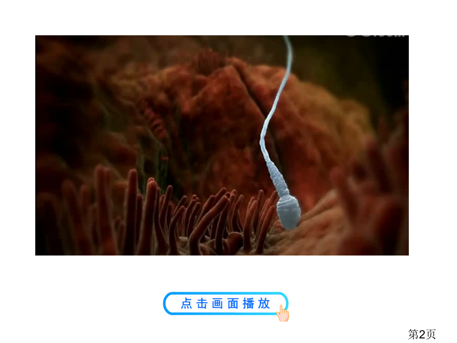 受精作用-省名师优质课赛课获奖课件市赛课一等奖课件.ppt_第2页