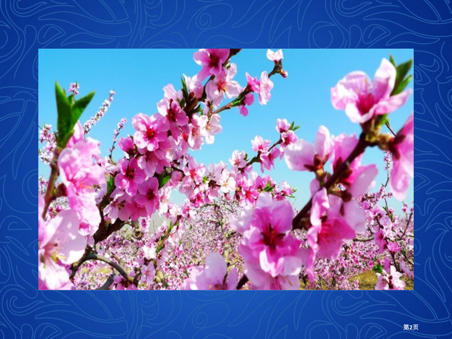 七年级下册科学·技术·社会角膜移植角膜捐献和人造角膜市公开课一等奖省优质课赛课一等奖课件.pptx_第2页