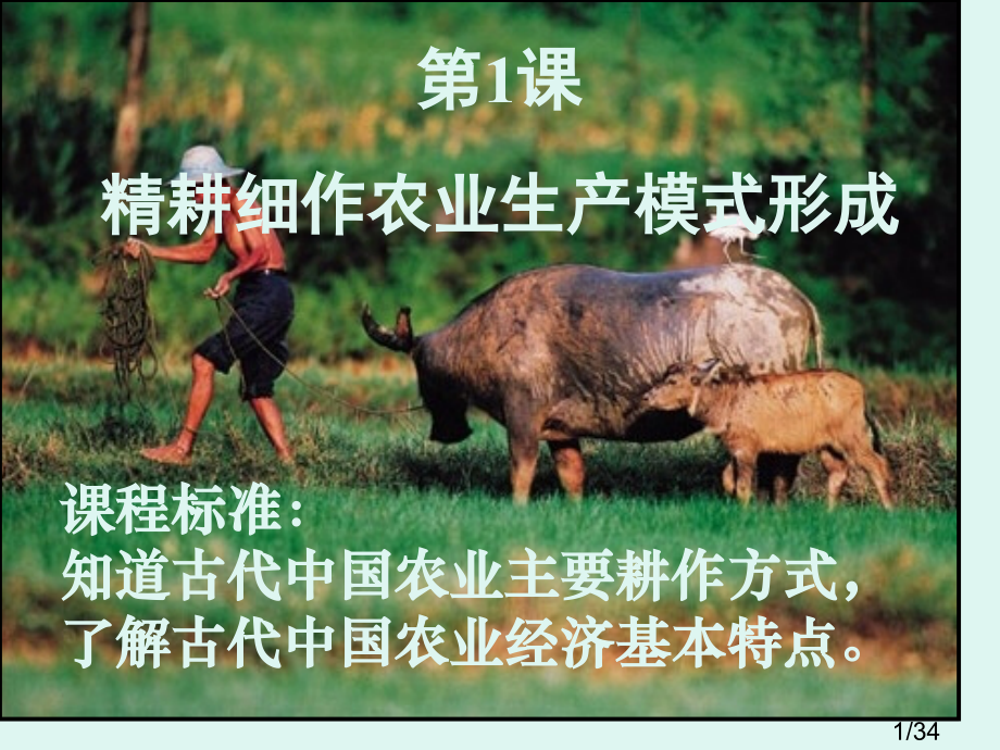 第一课精耕细作课件省名师优质课赛课获奖课件市赛课百校联赛优质课一等奖课件.ppt_第1页
