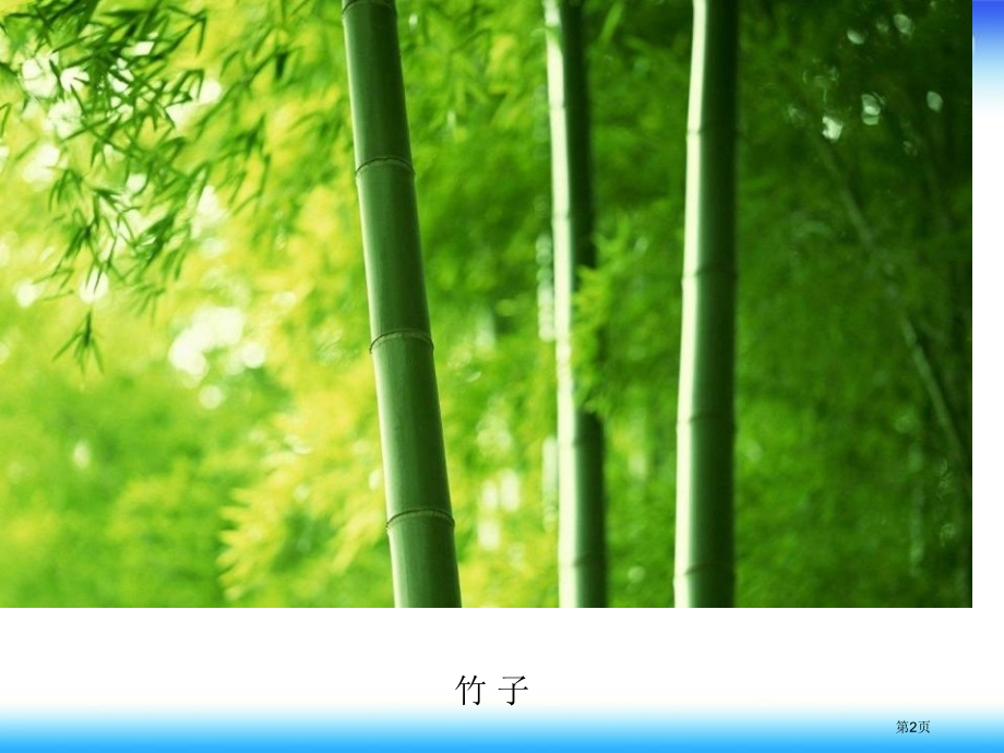 五年级下册美术第15课圆筒造型市公开课一等奖省优质课赛课一等奖课件.pptx_第2页