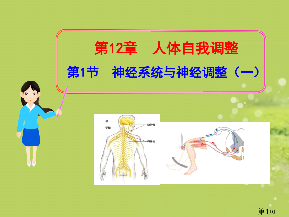 生物：-第12章-第1节-神经系统与神经调节一-北师大版七年级下省名师优质课获奖课件市赛课一等奖课件.ppt_第1页