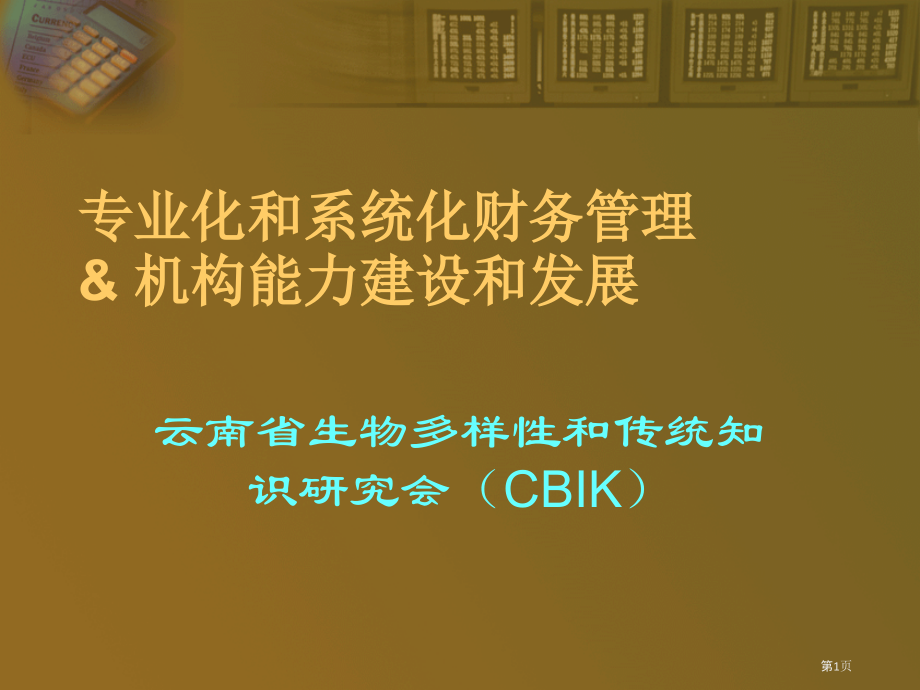 专业化和系统化的财务管理.pptx_第1页