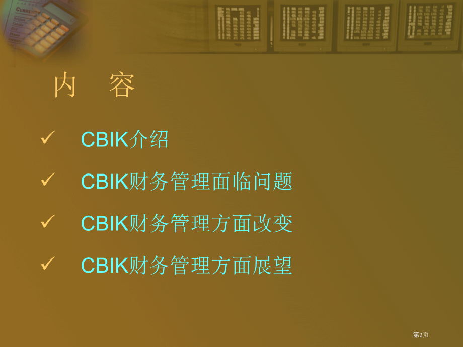 专业化和系统化的财务管理.pptx_第2页