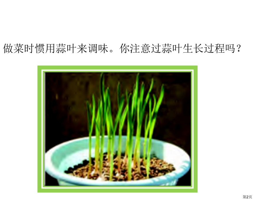 五年级下册数学2.2蒜叶的生长市公开课一等奖省优质课赛课一等奖课件.pptx_第2页