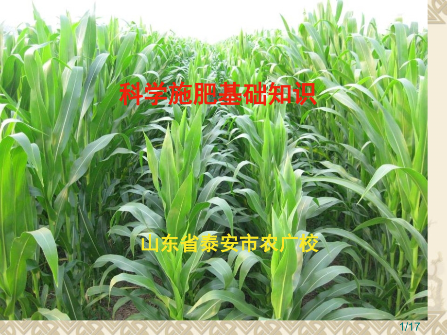 科学施肥的基础知识市公开课获奖课件省名师优质课赛课一等奖课件.ppt_第1页