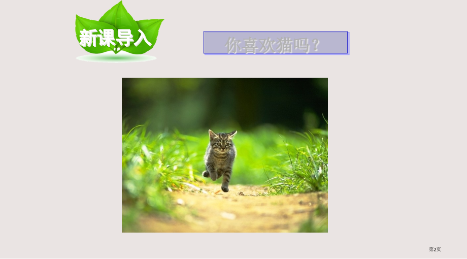 第6课猫市公共课一等奖市赛课金奖课件.pptx_第2页