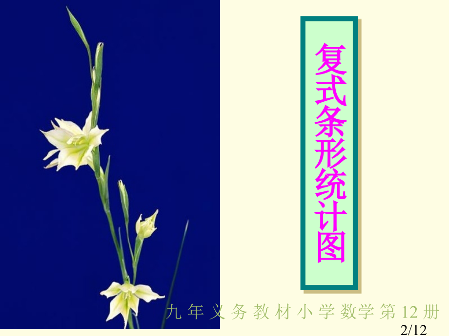 人教版数学六下复式条形统计图之三省名师优质课赛课获奖课件市赛课一等奖课件.ppt_第2页