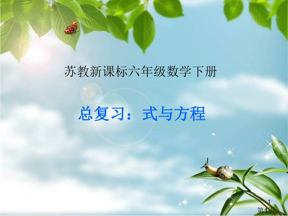 新课标苏教版六年级数学下册《总复习-式与方程》省名师优质课赛课获奖课件市赛课一等奖课件.ppt_第1页