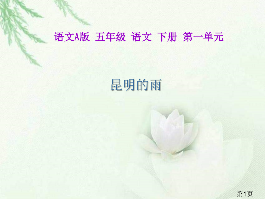五年级下册昆明的雨语文A版省名师优质课赛课获奖课件市赛课一等奖课件.ppt_第1页
