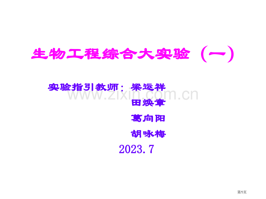 生物工程综合大实验省名师优质课赛课获奖课件市赛课百校联赛优质课一等奖课件.pptx_第1页