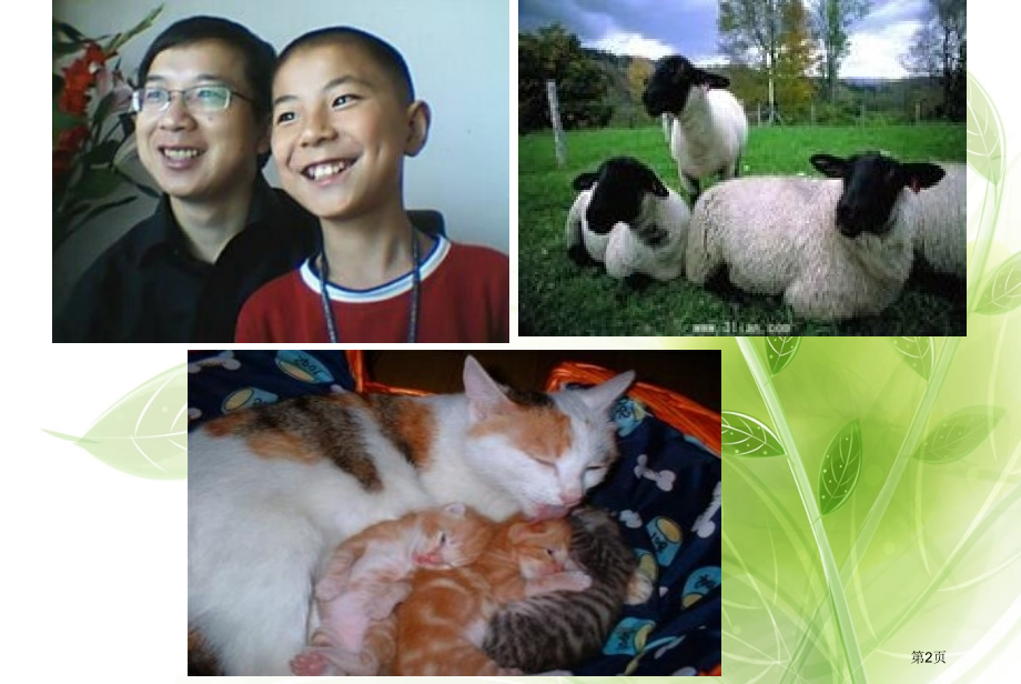 遗传和变异市公开课一等奖省优质课赛课一等奖课件.pptx_第2页