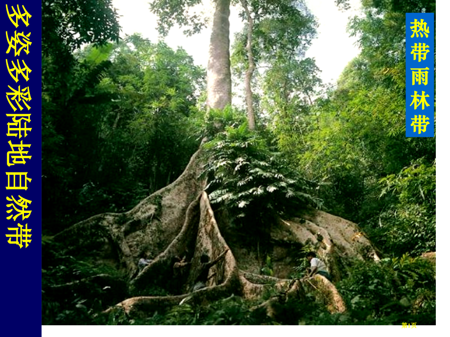 高中地理必修一第五章第2节自然地理环境的差异性优质课市公开课一等奖省优质课赛课一等奖课件.pptx_第1页