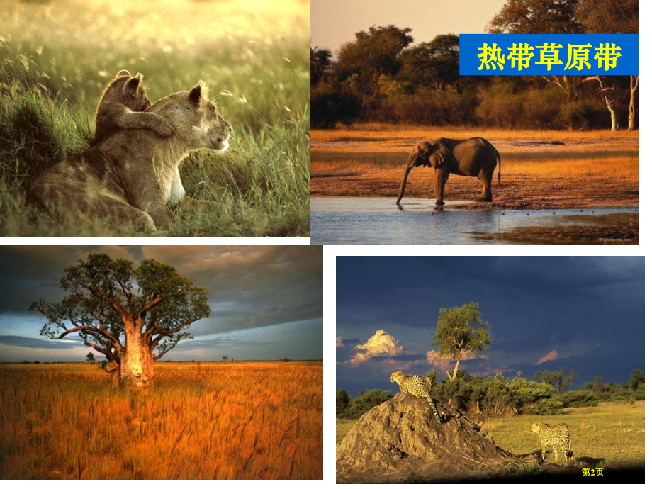 高中地理必修一第五章第2节自然地理环境的差异性优质课市公开课一等奖省优质课赛课一等奖课件.pptx_第2页