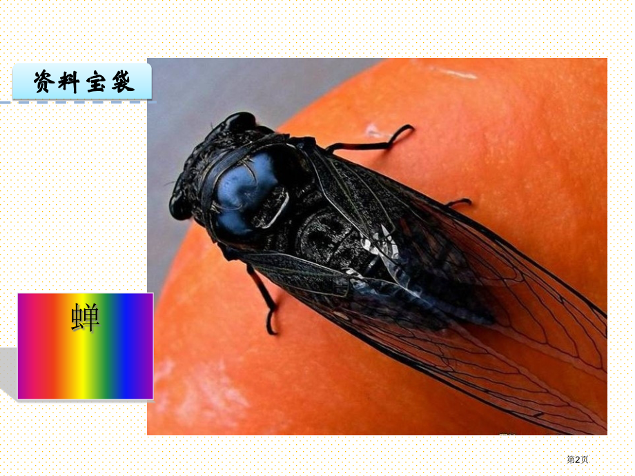 10蝉市名师优质课比赛一等奖市公开课获奖课件.pptx_第2页