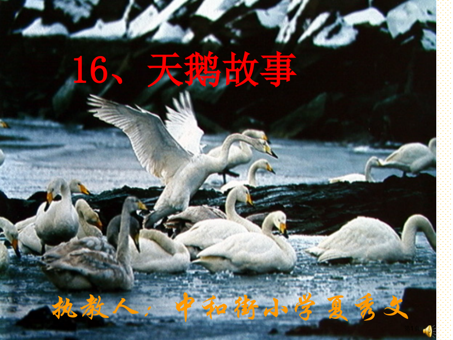 四年级天鹅的故事市名师优质课比赛一等奖市公开课获奖课件.pptx_第1页