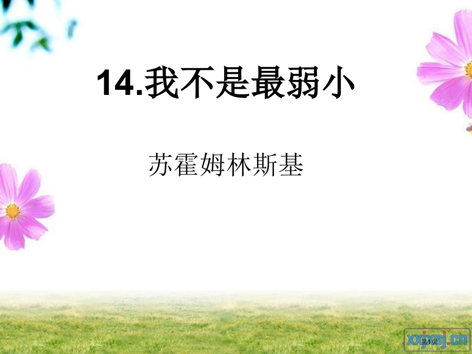 苏教版四年级语文下册14.《我不是最弱小的》省名师优质课赛课获奖课件市赛课一等奖课件.ppt_第1页