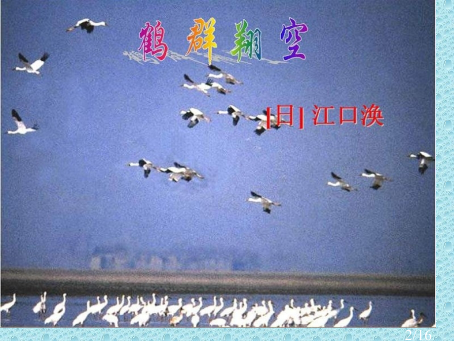 鲁教版六年级下册鹤群翔空课件5市公开课获奖课件省名师优质课赛课一等奖课件.ppt_第2页
