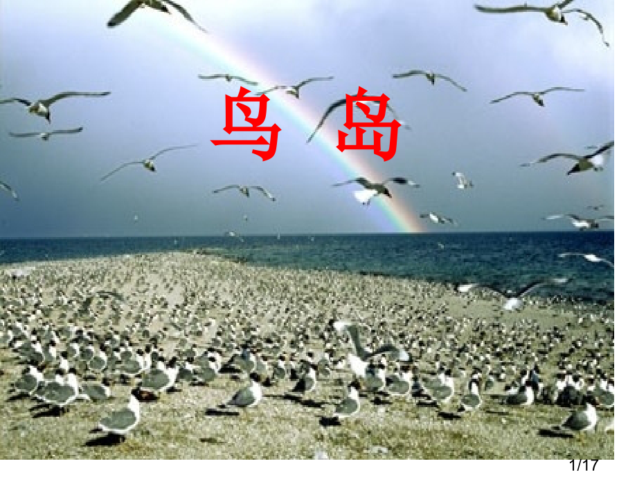 鸟岛-第一课时PPT市公开课一等奖百校联赛优质课金奖名师赛课获奖课件.ppt_第1页