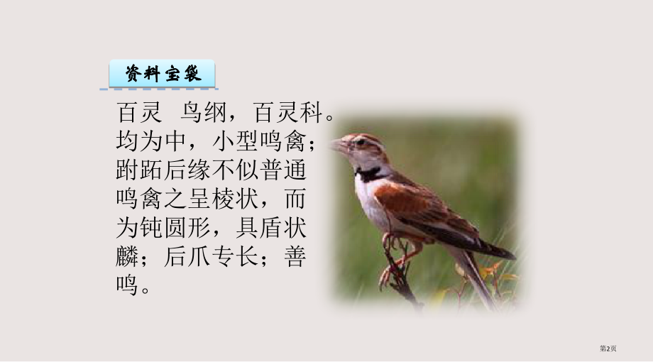鸟音市公共课一等奖市赛课金奖课件.pptx_第2页