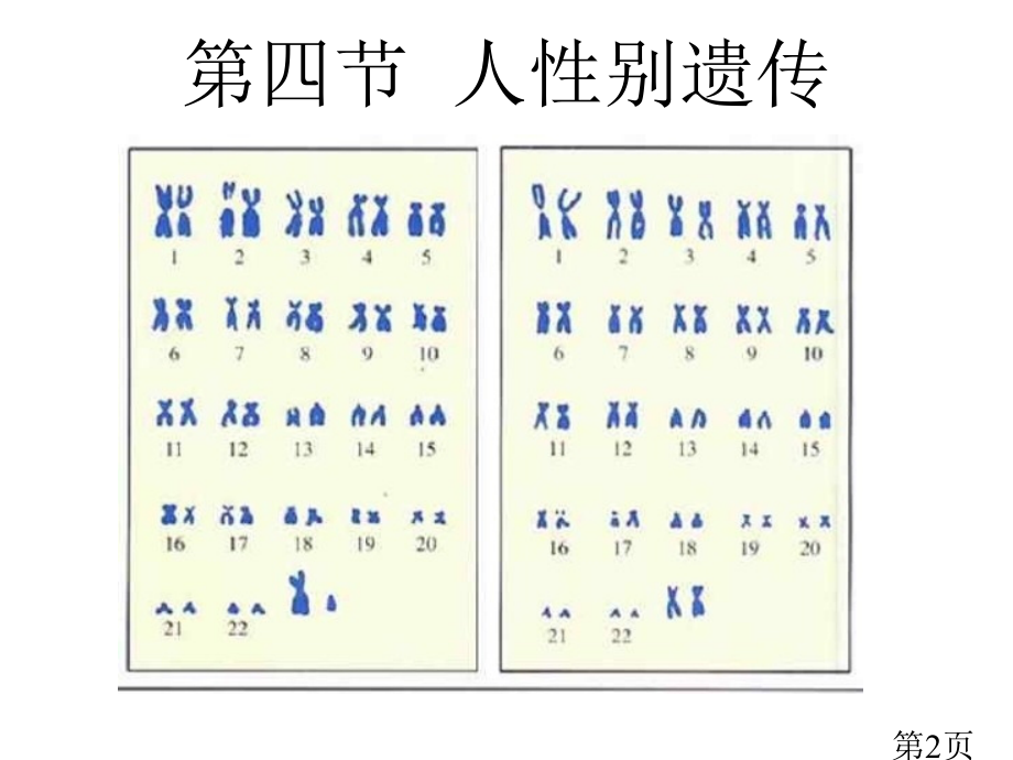 八年级生物人的性别遗传2省名师优质课赛课获奖课件市赛课一等奖课件.ppt_第2页
