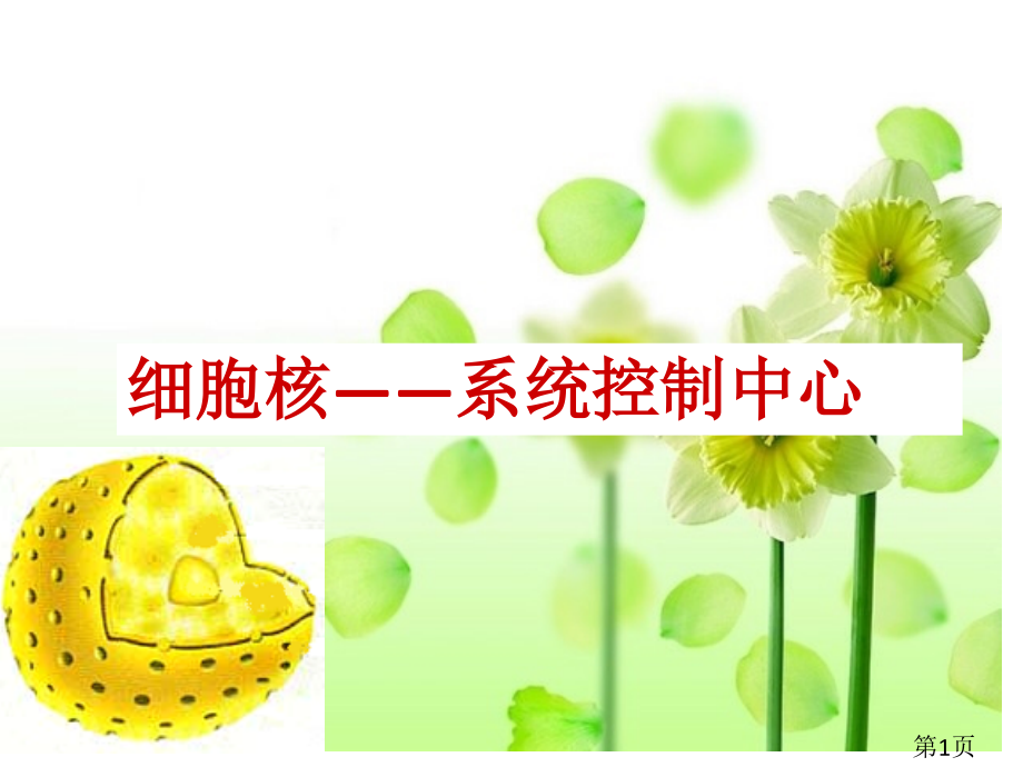 高中生物必修一细胞核省名师优质课赛课获奖课件市赛课一等奖课件.ppt_第1页